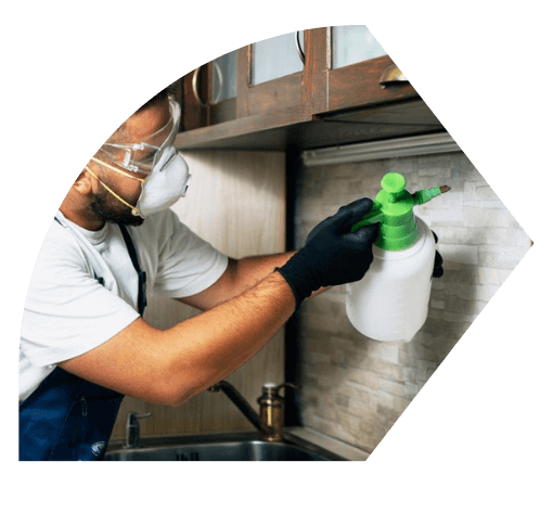 Pest control Brisbane