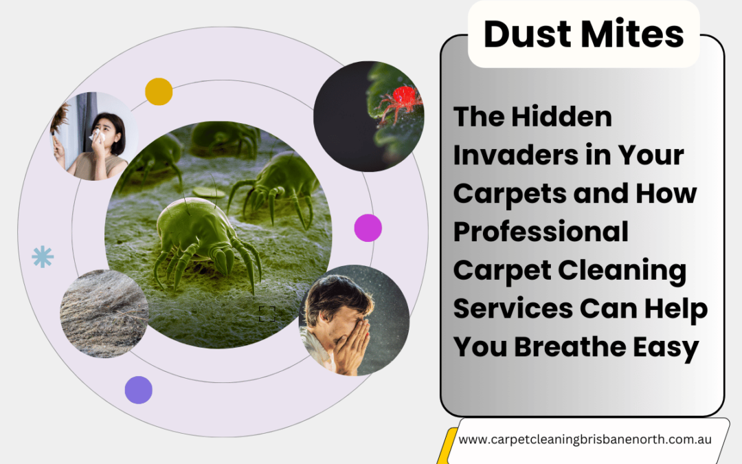 Dust Mites: The Hidden Invaders in Your Carpets and How Professional Carpet Cleaning Services Can Help You Breathe Easy