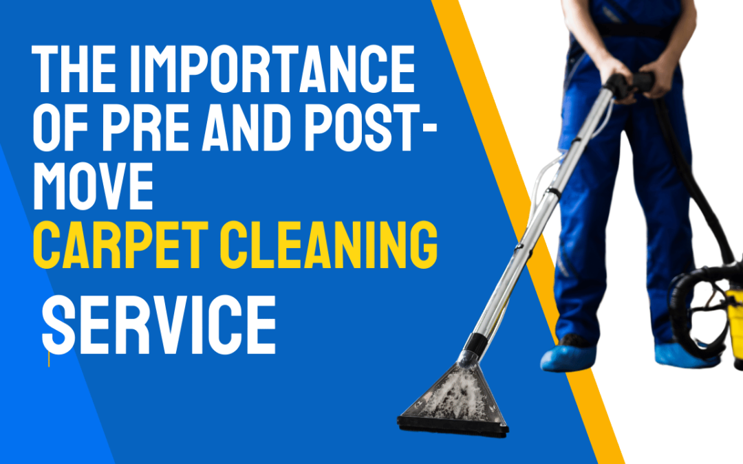 Moving in Brisbane? The Importance of Pre and Post-Move Carpet Cleaning