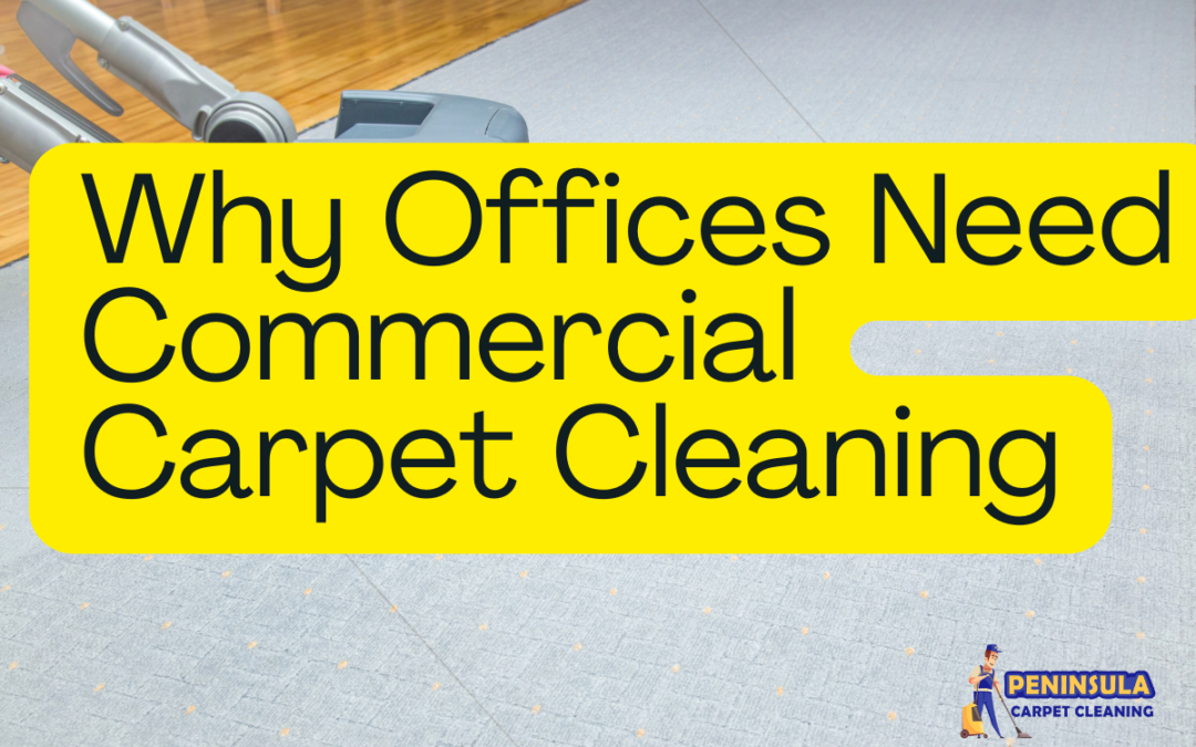 Why Offices Need Commercial Carpet Cleaning?